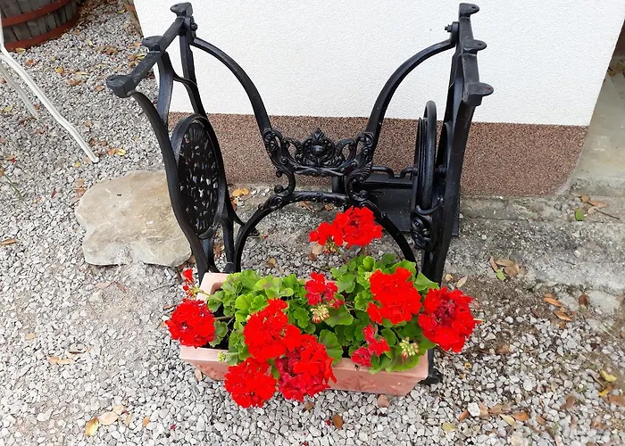 公寓 Pod Kostanji *